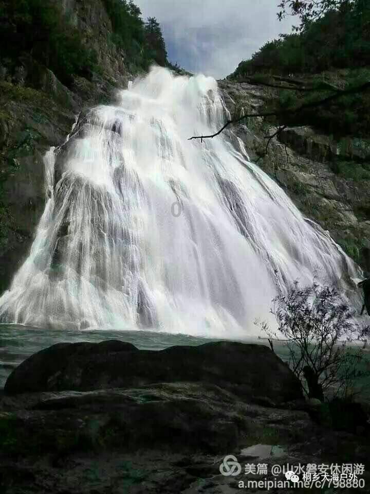 拯救枯树